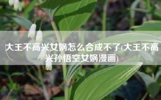 大王不高兴女娲怎么合成不了(大王不高兴孙悟空女娲漫画)