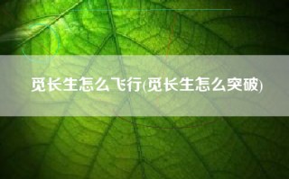觅长生怎么飞行(觅长生怎么突破)