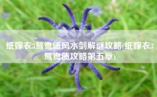 纸嫁衣3鸳鸯债风水剑解谜攻略(纸嫁衣3鸳鸯债攻略第五章)