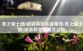 苍之骑士团2诺诺莉亚装备推荐(苍之骑士团2诺诺莉亚天赋怎么加)