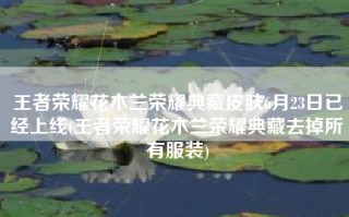 王者荣耀花木兰荣耀典藏皮肤6月23日已经上线(王者荣耀花木兰荣耀典藏去掉所有服装)