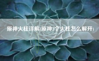 原神火柱详解(原神3个火柱怎么解开)