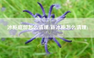 冰柜底部怎么清理(新冰柜怎么清理)