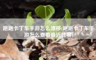 跑跑卡丁车手游怎么漂移(跑跑卡丁车手游怎么查看最近比赛)