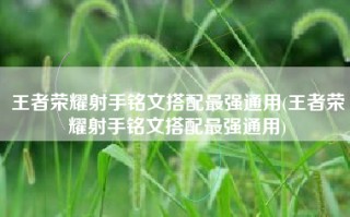 王者荣耀射手铭文搭配最强通用(王者荣耀射手铭文搭配最强通用)