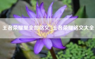 王者荣耀里全部铭文_王者荣耀铭文大全