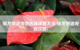 驯龙物语宠物选择攻略大全(驯龙物语宠物攻略)