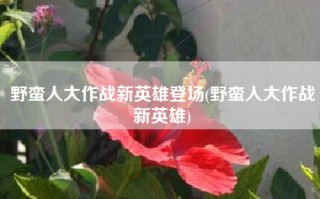 野蛮人大作战新英雄登场(野蛮人大作战新英雄)