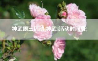 神武周三活动(神武4活动时间表)