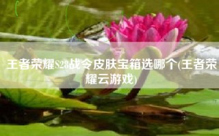 王者荣耀S28战令皮肤宝箱选哪个(王者荣耀云游戏)