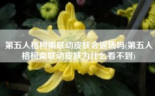 第五人格柯南联动皮肤会返场吗(第五人格柯南联动皮肤为什么看不到)