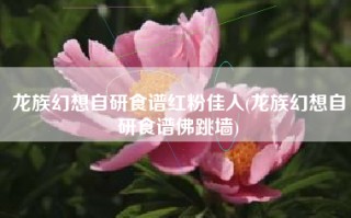 龙族幻想自研食谱红粉佳人(龙族幻想自研食谱佛跳墙)