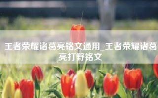 王者荣耀诸葛亮铭文通用_王者荣耀诸葛亮打野铭文