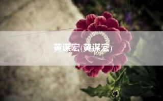 黄谋宏(黄谋宏)