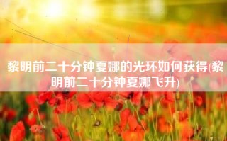 黎明前二十分钟夏娜的光环如何获得(黎明前二十分钟夏娜飞升)