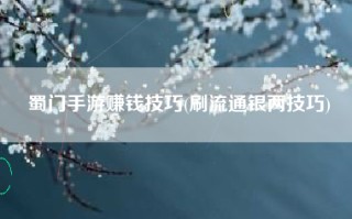 蜀门手游赚钱技巧(刷流通银两技巧)