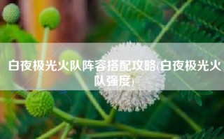 白夜极光火队阵容搭配攻略(白夜极光火队强度)