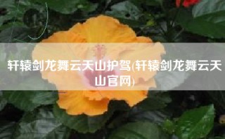 轩辕剑龙舞云天山护驾(轩辕剑龙舞云天山官网)