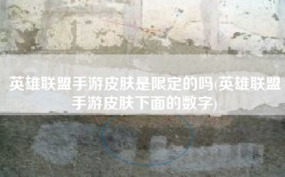英雄联盟手游皮肤是限定的吗(英雄联盟手游皮肤下面的数字)