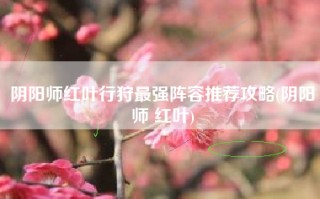 阴阳师红叶行狩最强阵容推荐攻略(阴阳师 红叶)