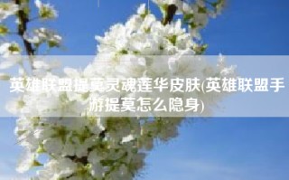英雄联盟提莫灵魂莲华皮肤(英雄联盟手游提莫怎么隐身)