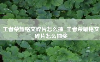 王者荣耀铭文碎片怎么抽_王者荣耀铭文碎片怎么抽奖