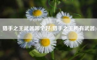 猎手之王武器哪个好(猎手之王所有武器)