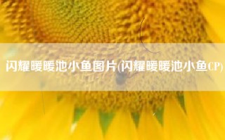 闪耀暖暖池小鱼图片(闪耀暖暖池小鱼CP)