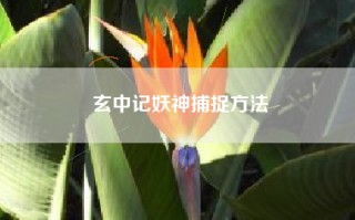 玄中记妖神捕捉方法