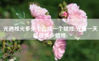 光遇烛光多少个合成一个蜡烛(光遇一天能收多少蜡烛)