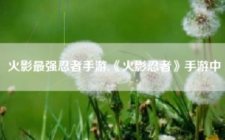 火影最强忍者手游,《火影忍者》手游中