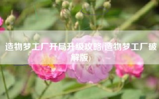 造物梦工厂开局升级攻略(造物梦工厂破解版)