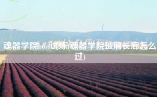 魂器学院boss试炼(魂器学院玻璃长廊怎么过)
