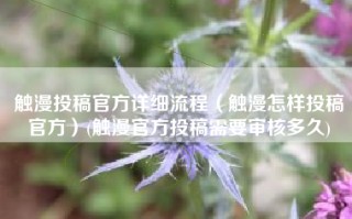 触漫投稿官方详细流程（触漫怎样投稿官方）(触漫官方投稿需要审核多久)