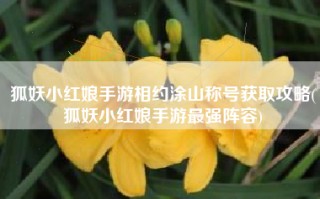 狐妖小红娘手游相约涂山称号获取攻略(狐妖小红娘手游最强阵容)