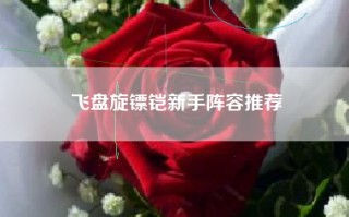 飞盘旋镖铠新手阵容推荐