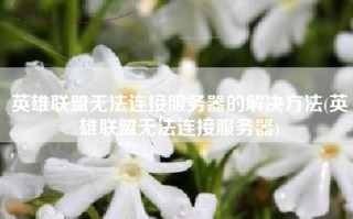 英雄联盟无法连接服务器的解决方法(英雄联盟无法连接服务器)