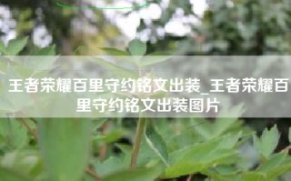 王者荣耀百里守约铭文出装_王者荣耀百里守约铭文出装图片