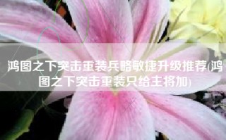 鸿图之下突击重装兵略敏捷升级推荐(鸿图之下突击重装只给主将加)