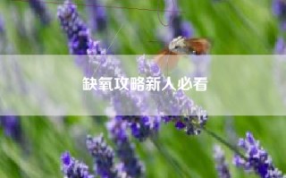 缺氧攻略新人必看