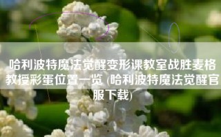哈利波特魔法觉醒变形课教室战胜麦格教授彩蛋位置一览 (哈利波特魔法觉醒官服下载)