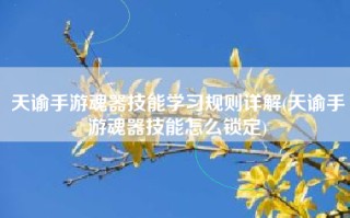 天谕手游魂器技能学习规则详解(天谕手游魂器技能怎么锁定)