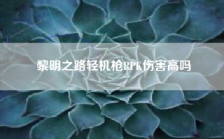 黎明之路轻机枪RPK伤害高吗