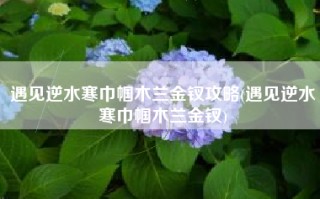 遇见逆水寒巾帼木兰金钗攻略(遇见逆水寒巾帼木兰金钗)