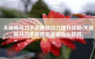 天涯明月刀手游橙侠功力提升攻略(天涯明月刀手游橙色武器怎么获得)