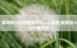 黎明前20分钟榴弹艾比build推荐(黎明前20分钟榴弹炮)