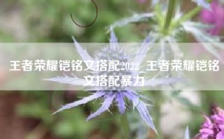 王者荣耀铠铭文搭配2022_王者荣耀铠铭文搭配暴力