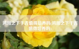 鸿图之下于吉值得培养吗(鸿图之下于吉值得培养吗)
