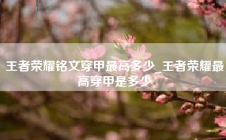 王者荣耀铭文穿甲最高多少_王者荣耀最高穿甲是多少