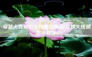穿越火线微信小程序兑换码(穿越火线微信小程序)